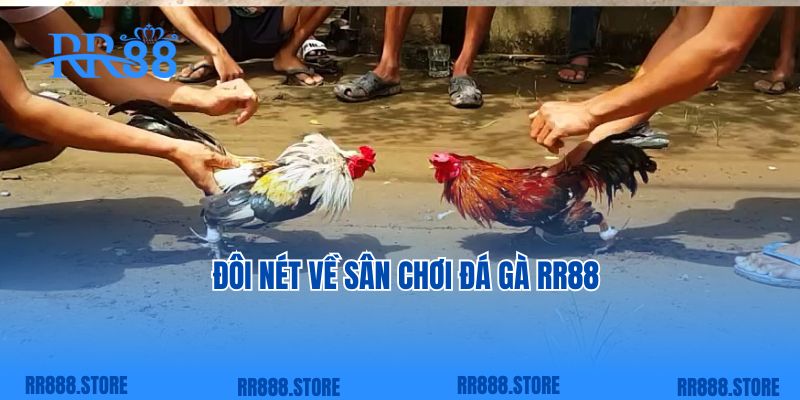 Đôi nét về sân chơi đá gà RR88